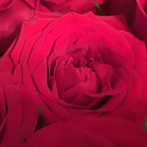 Meet your Posher, Terri